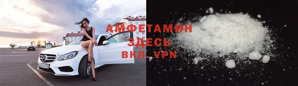твердый Алексин