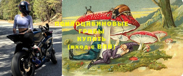 твердый Алексин