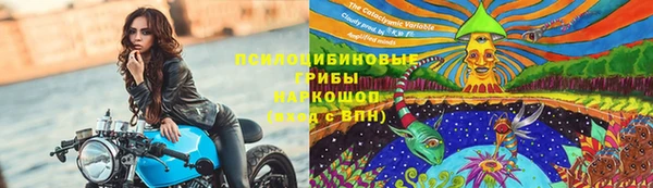 твердый Алексин